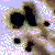 :iconmuskyfinite: