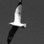 :iconmustaf-art:
