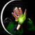 :iconmustafacerit: