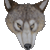 :iconmustakarhu: