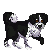:iconmustang-adopts: