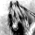 :iconmustang-thunder: