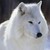 :iconmustangchic7: