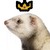 :iconmustelaputoriusfuro: