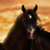 :iconmusttang:
