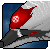 :iconmutaclone: