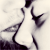 :iconmuted-cat: