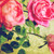 :iconmuteddreams: