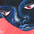 :iconmutedrone: