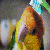 :iconmuttiee: