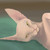 :iconmuttysphinx-arter: