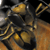 :iconmuzzleboy: