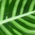 :iconmv-darkroom: