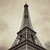 :iconmw0387: