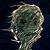 :iconmw777: