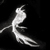 :iconmwagganer: