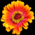 :iconmwilley86:
