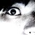 :iconmwyz: