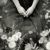 :iconmxgrace: