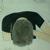 :iconmy-background-music: