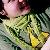 :iconmy-happy-girl: