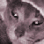 :iconmy-little-kinkin: