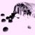 :iconmy-morningstar: