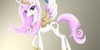 :iconmy-pony: