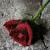 :iconMy-Pretty-Kitty: