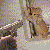 :iconmy-spoon-is-to-big: