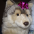 :iconmy-webkinz-rooms: