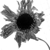 :iconmyall: