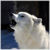 :iconmyangelicdeath:
