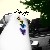 :iconmyanonymousart: