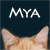 :iconmyashadow: