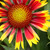 :iconmyawsomeusername: