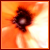 :iconmyazaki: