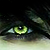:iconmychemicalblack: