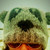 :iconmycircus84: