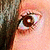 :iconmyclassicrainbow: