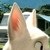 :iconmydaughter: