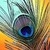 :iconmydeviantname: