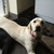 :iconmydogatemyusernamek: