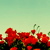 :iconmyelectriceye: