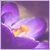 :iconMyElementsofstyle: