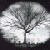 :iconmyequation: