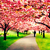 :iconmyfaded-romance:
