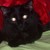 :iconmyfishme: