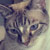 :iconmyfoto: