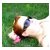 :iconmyfragileheart: